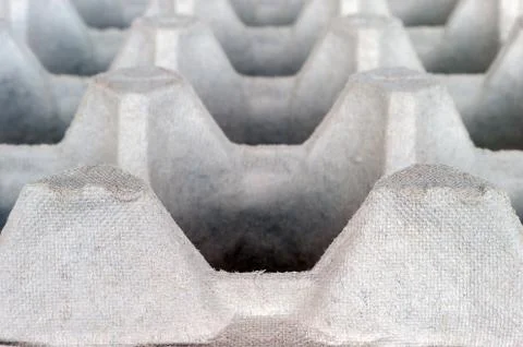 An Empty Biodegradable Molded Pulp Fiber Egg Carton Tray. Stock Photos