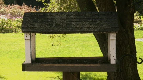 Empty Bird Feeder Stock Footage 88857