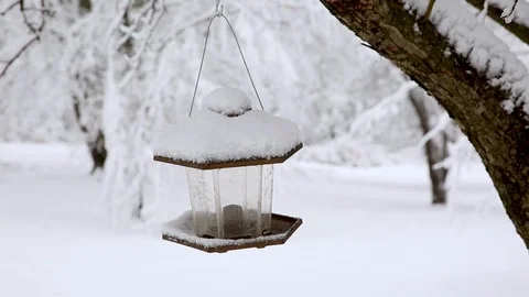 Empty Bird Feeder in Winter Video stock 101266191