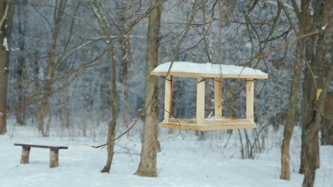 An empty bird feeder in a winter park Stock Footage 85095154
