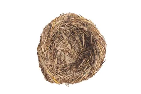 Empty bird nest isolated on white background Stock Illustration