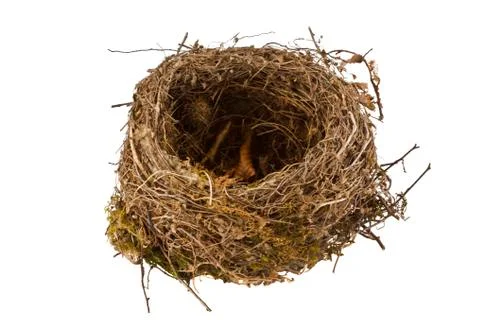 Empty bird nest isolated on white background Stock Photos