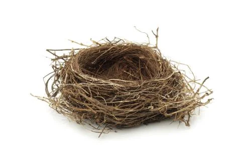 Empty bird nest Foto stock