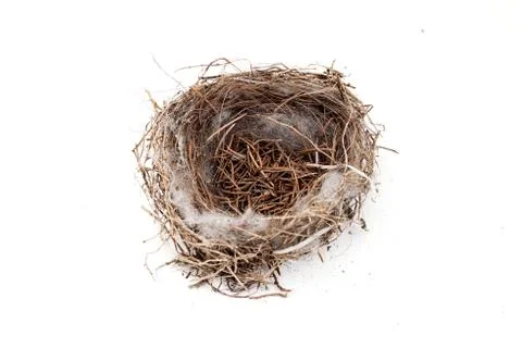 Empty bird nest Stock Photos