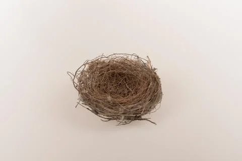 Empty bird nest Stock Photos