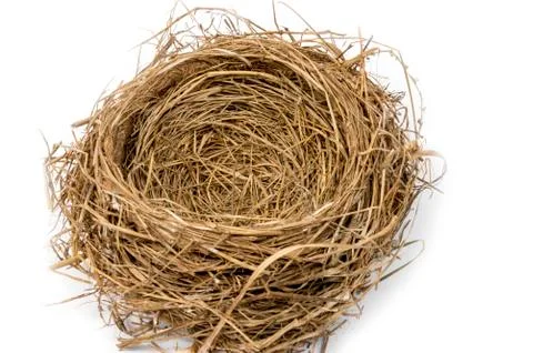 Empty Bird Nest on White Background With Shadow Stock Photos