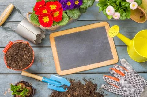 Empty blackboard on a plant table 库存照片