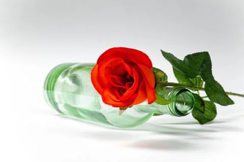 Empty blanc wine bottle witk red rose on white background Stock Photos