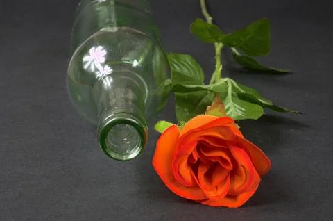 Empty blanc wine bottle witk red rose on black background Stock Photos
