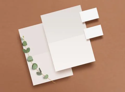 Empty blank, business card and a branch of eucalyptus on a brown background. Stock Photos