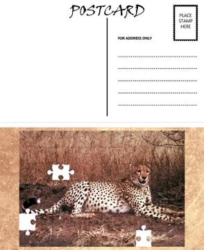 Empty blank postcard template africa cheetah puzzle image Stock Illustration