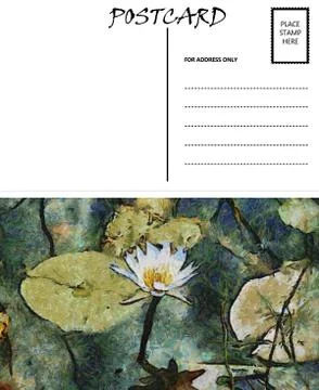 Empty blank postcard template water lilly image Stock Illustration
