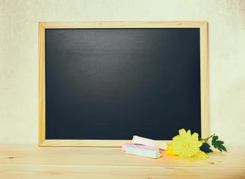 Empty blank school black board with white chalks and chrysanthemum flower on  스톡 사진