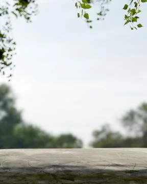Empty blank stone table or rock surface platform with green leaves branches.. Illustrazione stock