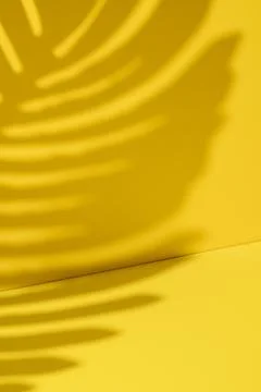 Empty blank yellow background with copy space Stock Photos