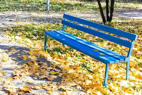 Empty blue bench at lawn covered with fallen leave Stock Photos