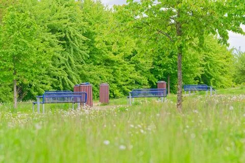 Empty blue benches and trash bins in a green park with trees and wildflowers Stock Photos