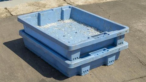 Empty blue plastic fish crates on a concrete dock at a commercial fishing p.. Stock Photos