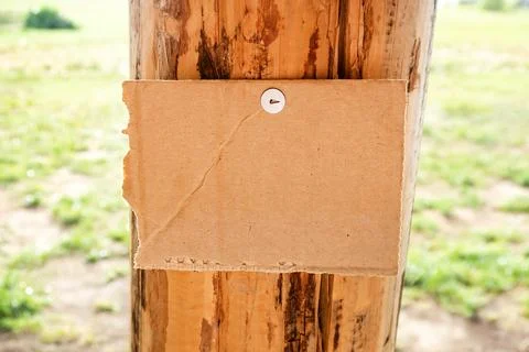 Empty Board on a Tree closeup Stock Photos