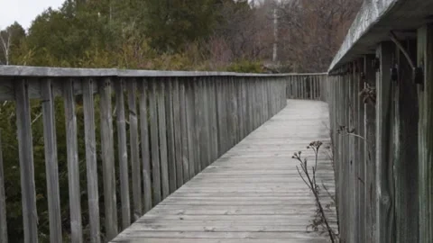 Empty Boardwalk Trail reveal Stock Footage 138587345