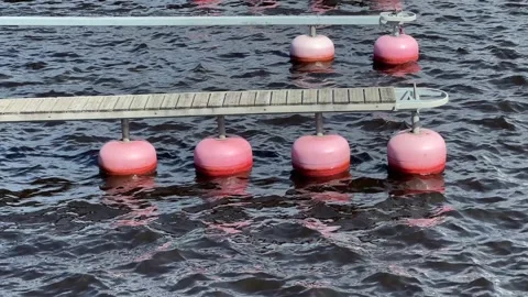 Empty boat harbour with jetty and red buoys Stock Footage 310083199