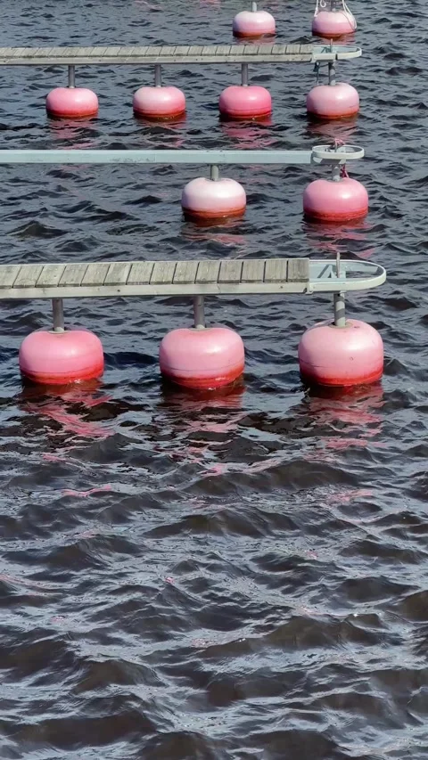 Empty boat harbour with jetty and red buoys Stock-Footage 310083260