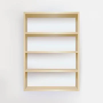 Empty bookshelf Stock Illustration