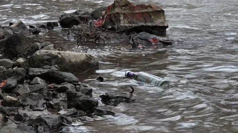 Empty bottle float in the water of city river Stock Footage 59947324