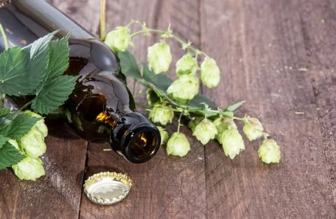 Empty bottle with hops Stock Photos