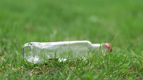 Empty bottle laying on the grass in 4k slow motion Vídeos de archivo 93034332