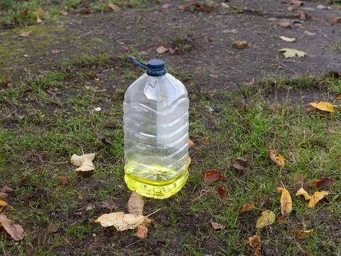 An empty bottle of yellow car windshield washer fluid sits on the street. Stock Photos