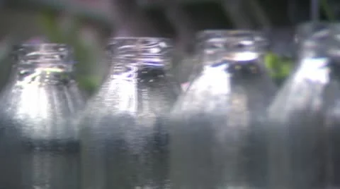 Empty bottles on a production line Video stock 8994455