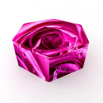 Empty box for items decorated beautiful rose Stock Illustration