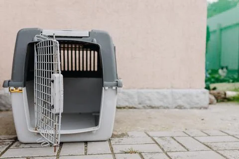 Empty box with open door for transporting cats on wall background Stock Photos