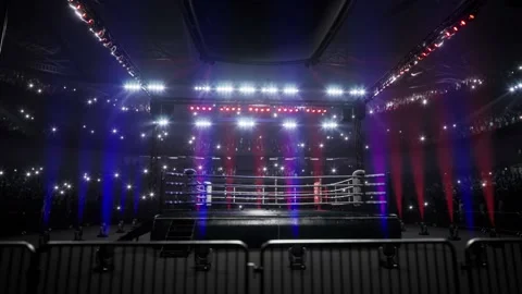 Empty boxing arena 4k video with crowd animation Stock Footage 219307015