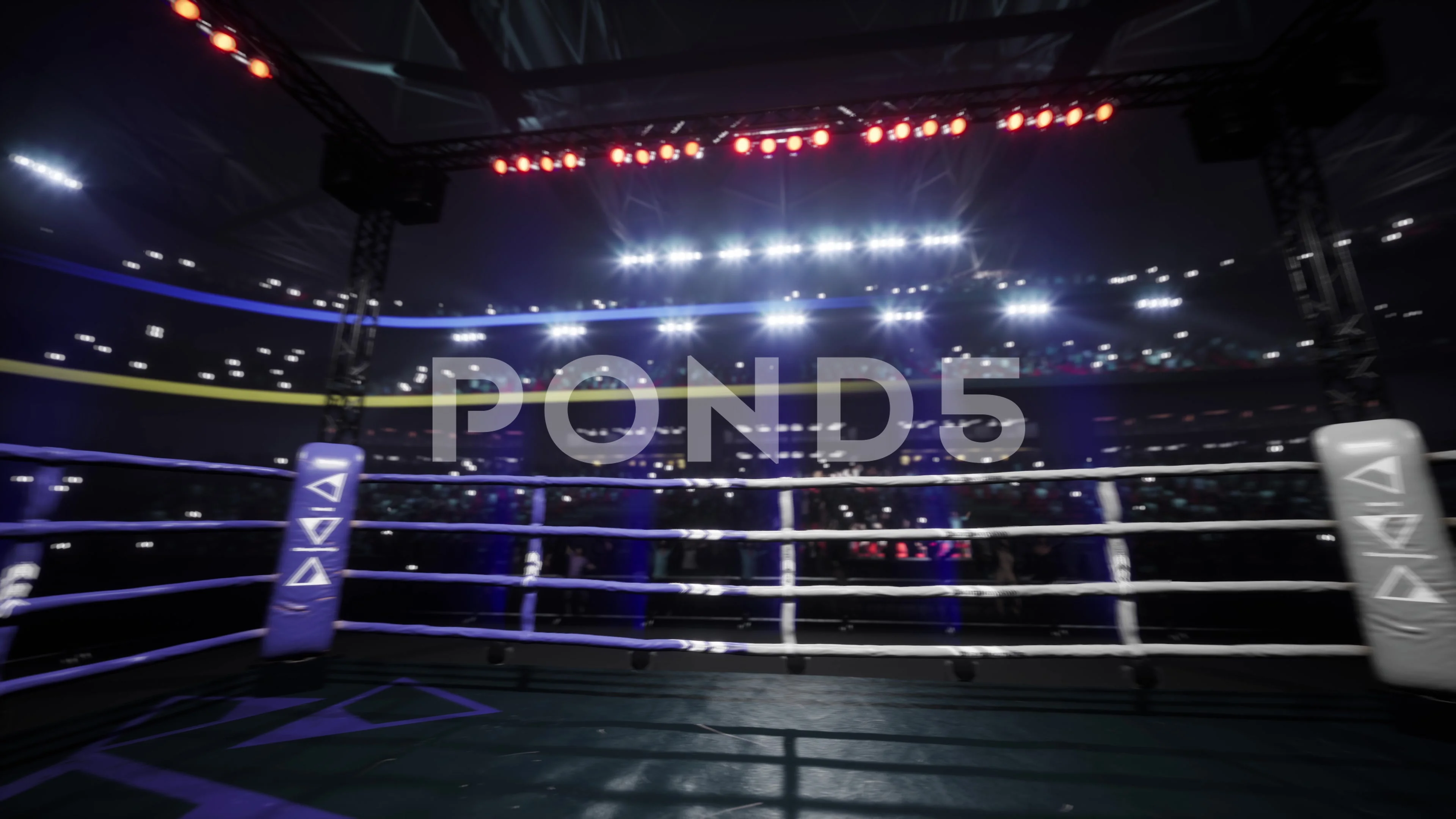 Pro Fight Night Official Boxing Ring - Boxing Ring Rental | FIGHT SHOP