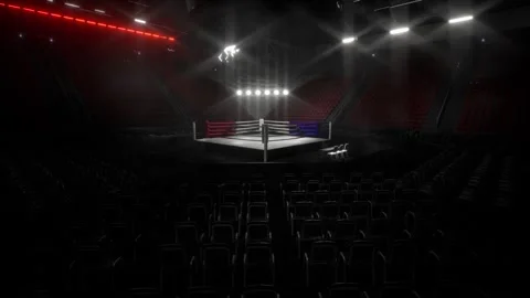 Empty Boxing Arena with Spotlight on the Ring Stockbeeldmateriaal 314119934