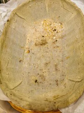 Empty bread basket just crumbs in Puerto Escondido Mexico. 스톡 사진