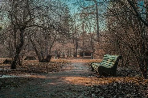 Empty bridge and a bench in autemn park in Saint Petersburg botanical garde.. Stock Photos