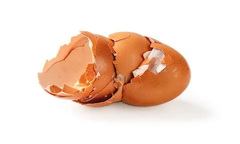 Empty broken eggshells isolated on a white background. Stock Photos