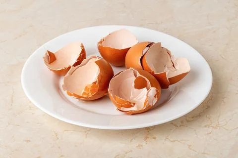 Empty broken eggshells on a white plate over kitchen table. 스톡 사진