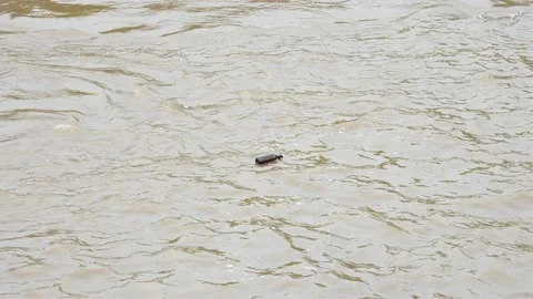 Empty brown bottle floating down a murky river Stock Footage 150476768