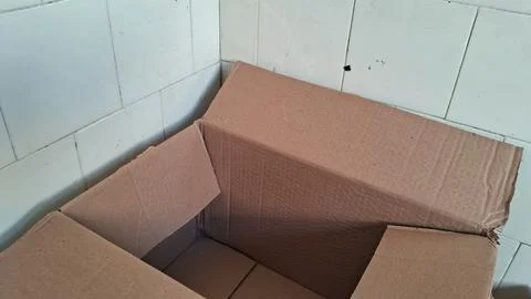 Empty brown cardboard box sitting against white tiled wall corner Stock Photos