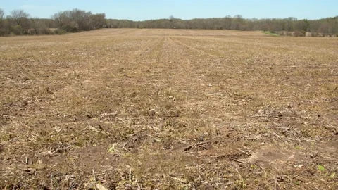 An empty brown field on a farm. 4k60p Stock Footage 132449465