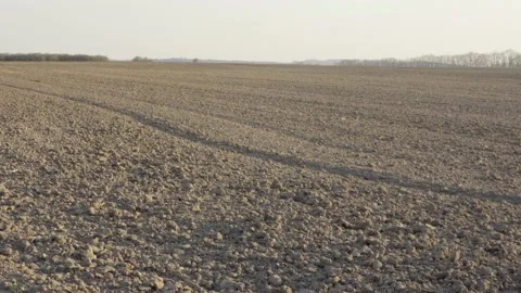 Empty brown field in a rural area on a sunny day Stock-Footage 138086475