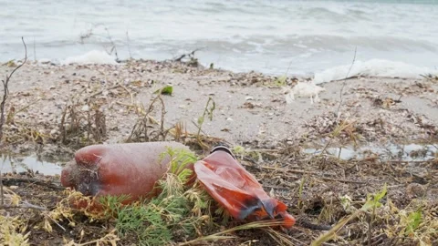 Empty brown plastic bottles lie abandoned on the coast of the lake. Stock Footage 151652467