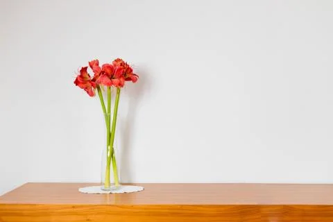 Empty brown wooden commode with three flowers on tablecloth. Red car carped, Stock-Fotos