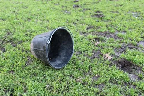 Empty Bucket Stock Photos