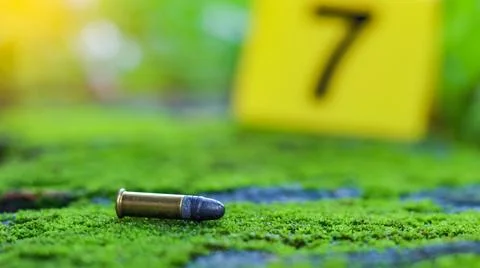 Empty bullet casing on a mossy surface, with a blurred black number 7 in th.. Foto stock