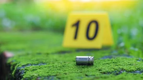 Empty bullet casing on a mossy surface, with a blurred black number 10 in t.. Stock Photos